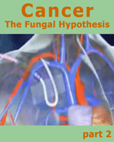 fungal hypothesis 2