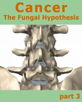 fungal hypothesis