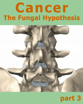 fungal hypothesis 3