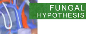 fungal hypothesis